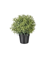 FEJKA Artificial potted plant, Rosemary 9 cm