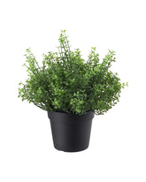 FEJKA Artificial potted plant, in/outdoor Baby’s tears 9 cm