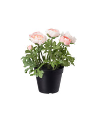 FEJKA Artificial potted plant, in/outdoor/Ranunculus pink 12 cm