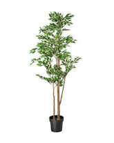 FEJKA Artificial potted plant, in/outdoor Weeping fig, 21 cm