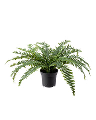 FEJKA Artificial potted plant, in/outdoor fern 15 cm