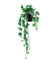 FEJKA Artificial potted plant, in/outdoor/hanging Ivy 12 cm