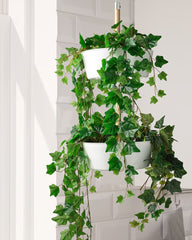 FEJKA Artificial potted plant, in/outdoor/hanging Ivy 12 cm