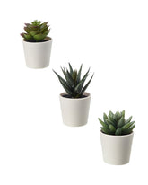 FEJKA Artificial potted plant with pot, in/outdoor Succulent 6 cm 3 pack