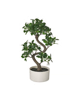 FEJKA Artificial potted plant with pot, in/outdoor bonsai 16 cm