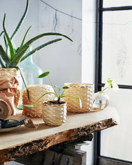 KAFFEBONA Plant pot, bamboo 9 cm