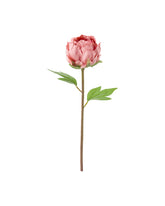 SMYCKA Artificial Flower, Peony/Pink, 30