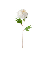 SMYCKA Artificial flower, Peony/white, 30 cm