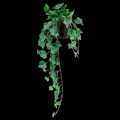 FEJKA Artificial potted plant, in/outdoor/hanging Ivy 12 cm
