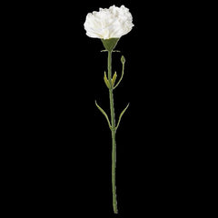 SMYCKA Artificial Flower, Carnation/White, 30