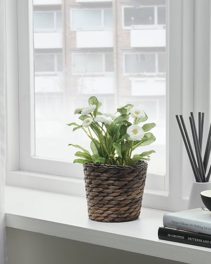 DRUVFLADER Plant pot, water hyacinth/grey 12 cm