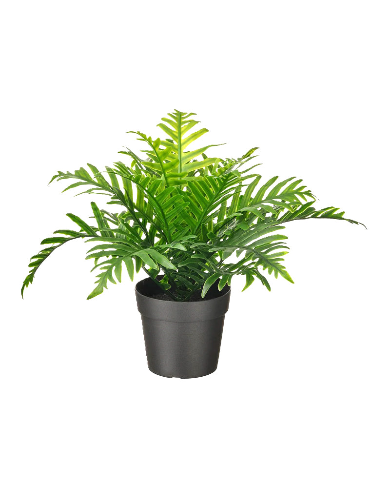 FEJKA Artificial Potted Plant 9 In/Outdoor Whitley Giant