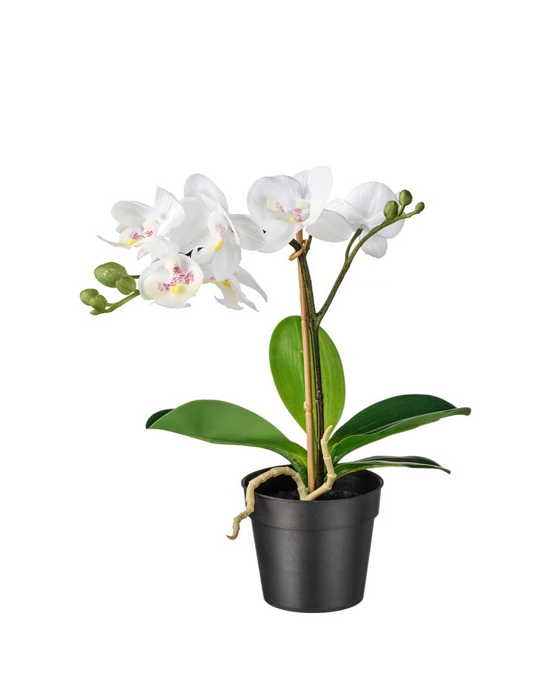 FEJKA Artificial potted plant, Orchid white 9 cm