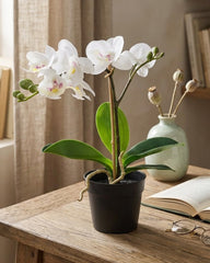 FEJKA Artificial potted plant, Orchid white 9 cm