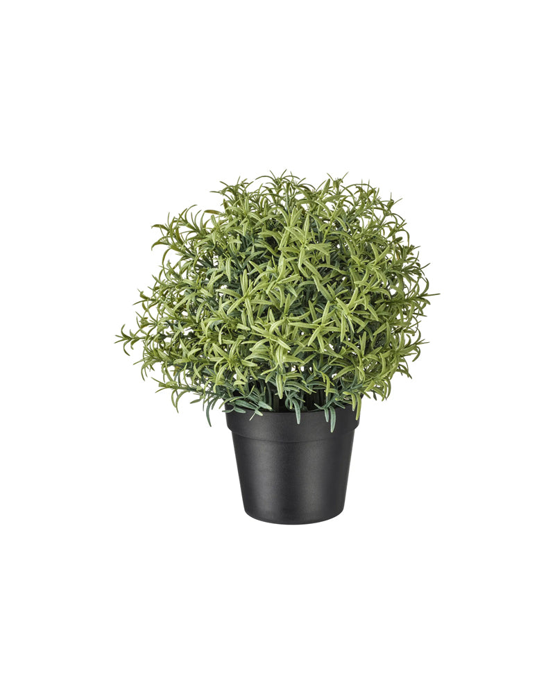 FEJKA Artificial potted plant, Rosemary 9 cm