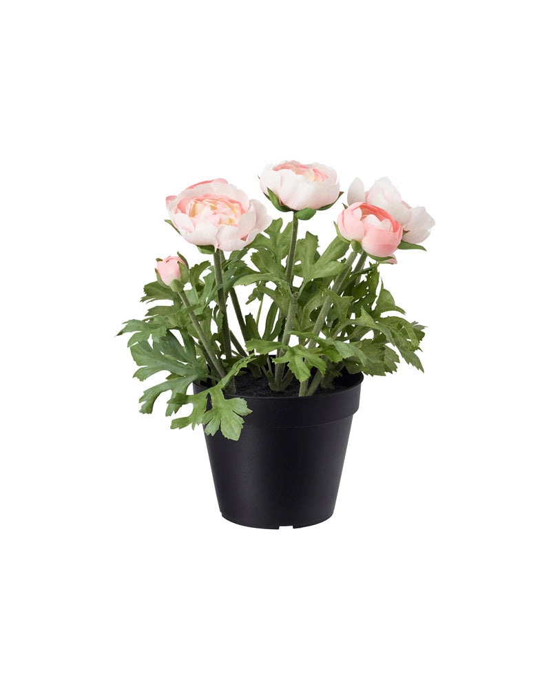 FEJKA Artificial potted plant, in/outdoor/Ranunculus pink 12 cm
