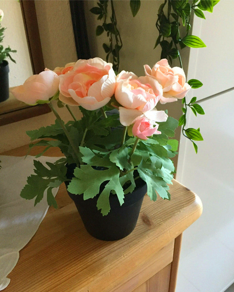FEJKA Artificial potted plant, in/outdoor/Ranunculus pink 12 cm