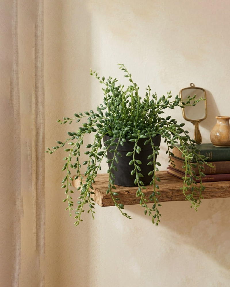 FEJKA Artificial potted plant, in/outdoor String of beads 9 cm