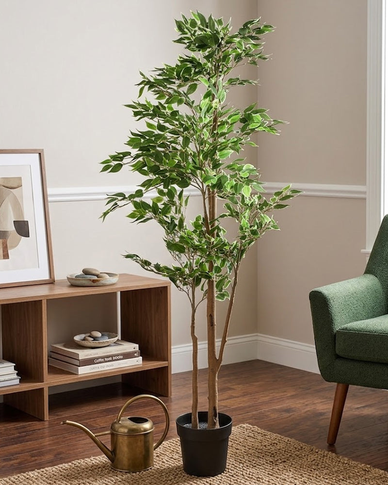 FEJKA Artificial potted plant, in/outdoor Weeping fig, 21 cm