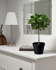 FEJKA Artificial potted plant, in/outdoor/Weeping fig stem, 12 cm