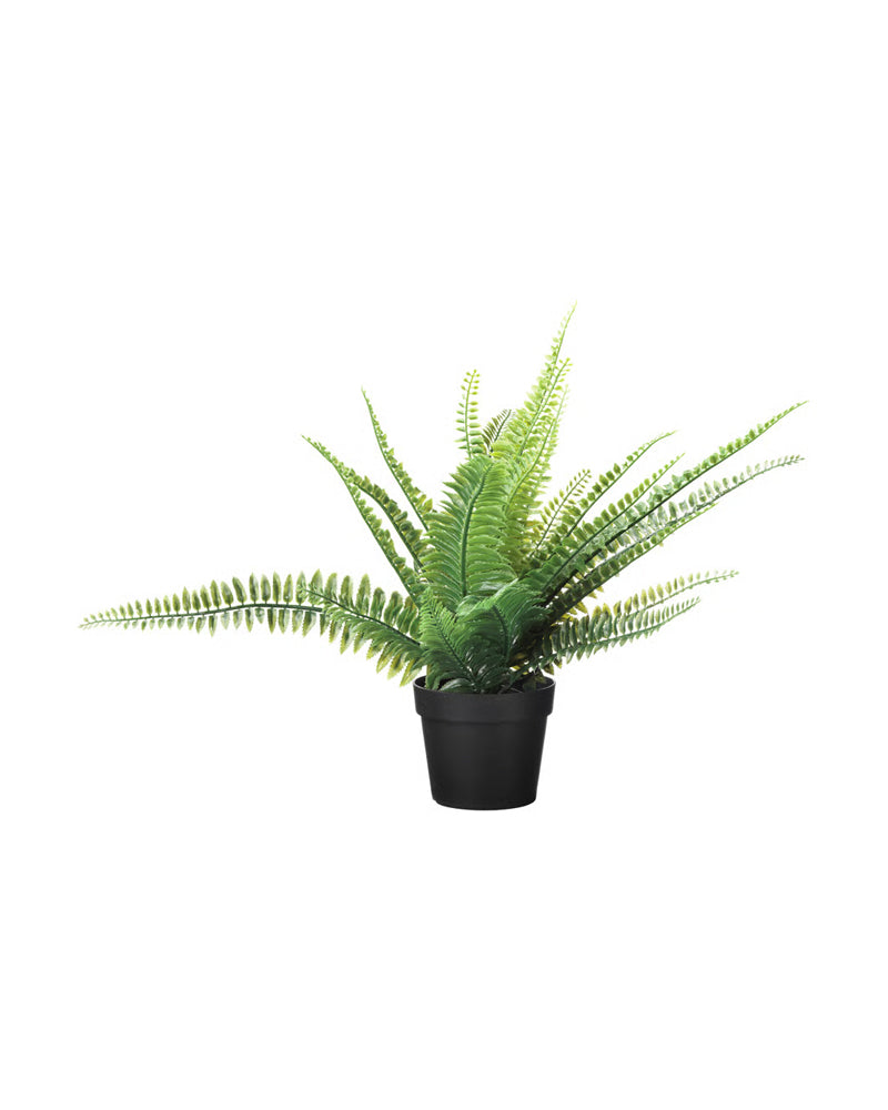 FEJKA Artificial potted plant, in/outdoor fern 9 cm
