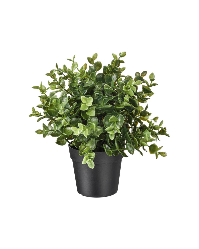 FEJKA Artificial potted plant, oregano 9 cm