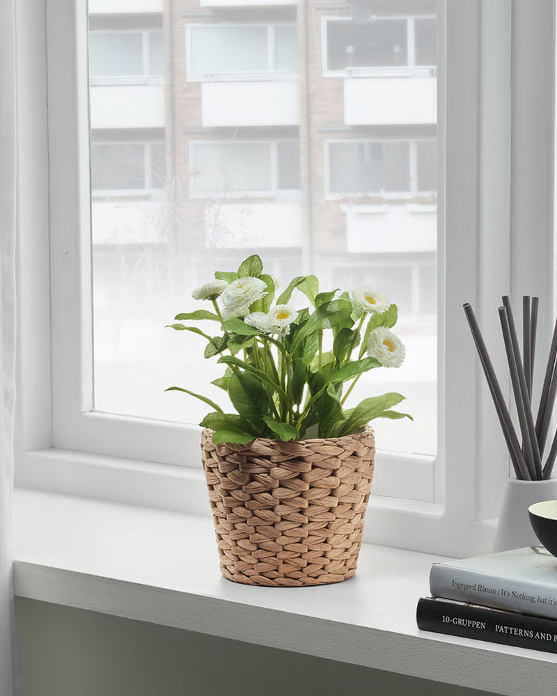 FRIDFULL Plant pot, water hyacinth 12 cm