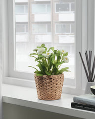 FRIDFULL Plant pot, water hyacinth 12 cm