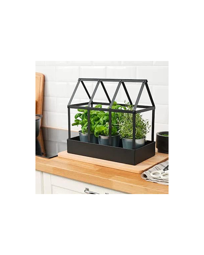 SENAPSKÅL Decoration greenhouse, in/outdoor black34 cm
