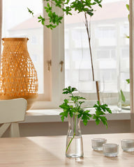 TIDVATTEN Vase, clear glass 14 cm