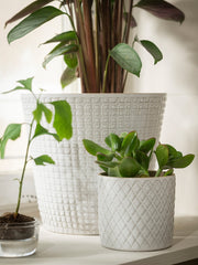 CHIAFRON Plant pot, white9 cm