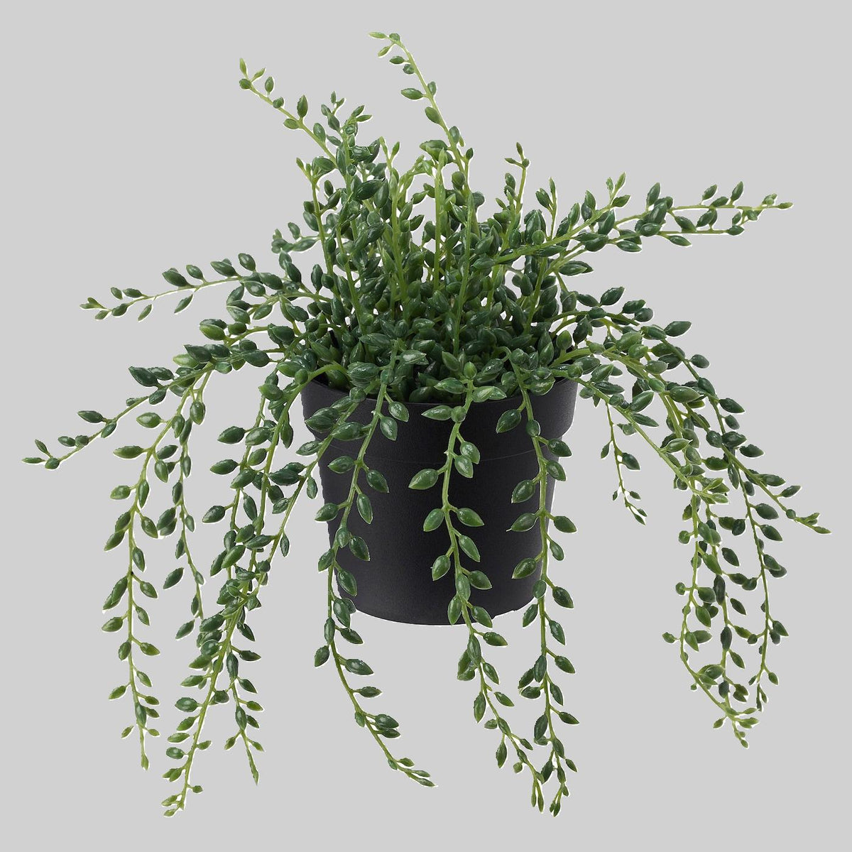 FEJKA Artificial potted plant, in/outdoor String of beads 9 cm