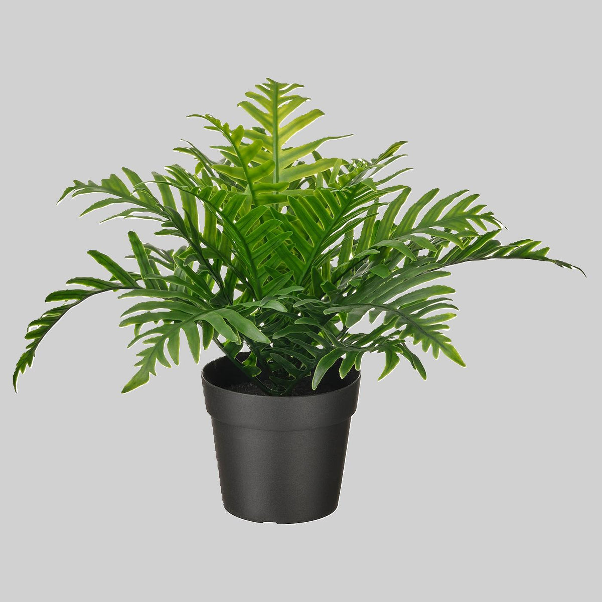 FEJKA Artificial Potted Plant 9 In/Outdoor Whitley Giant