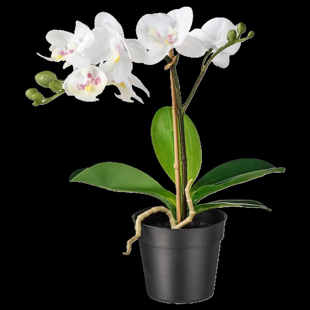 FEJKA Artificial potted plant, Orchid white 9 cm