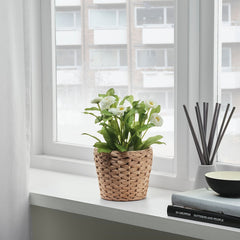 FRIDFULL Plant pot, water hyacinth 12 cm